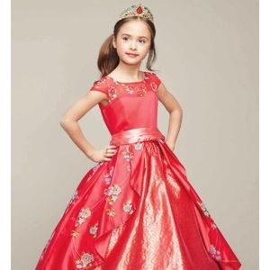 Chasing fireflies  elena of Avalor costume. Size 4